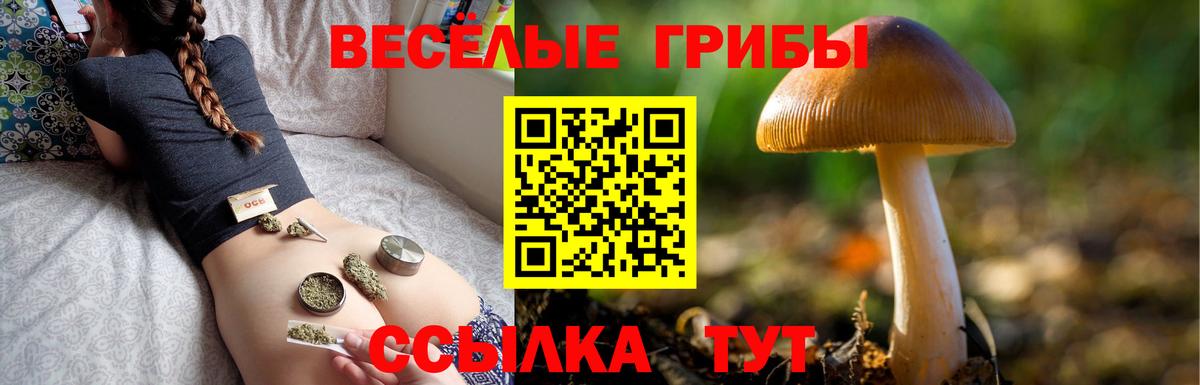 Павловский Посад  Галлюциногенные грибы прущие грибы  Псилоцибиновые грибы GOLDEN TEACHER  Вход с VPN 